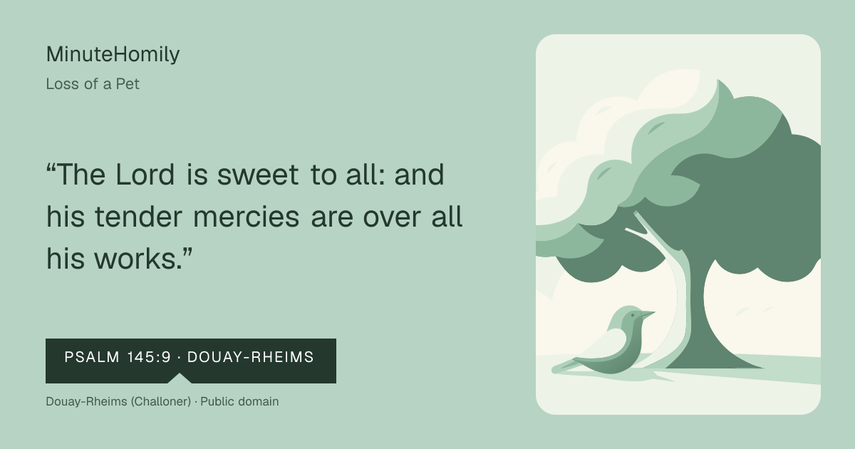Verse card for Loss of a Pet | MinuteHomily
